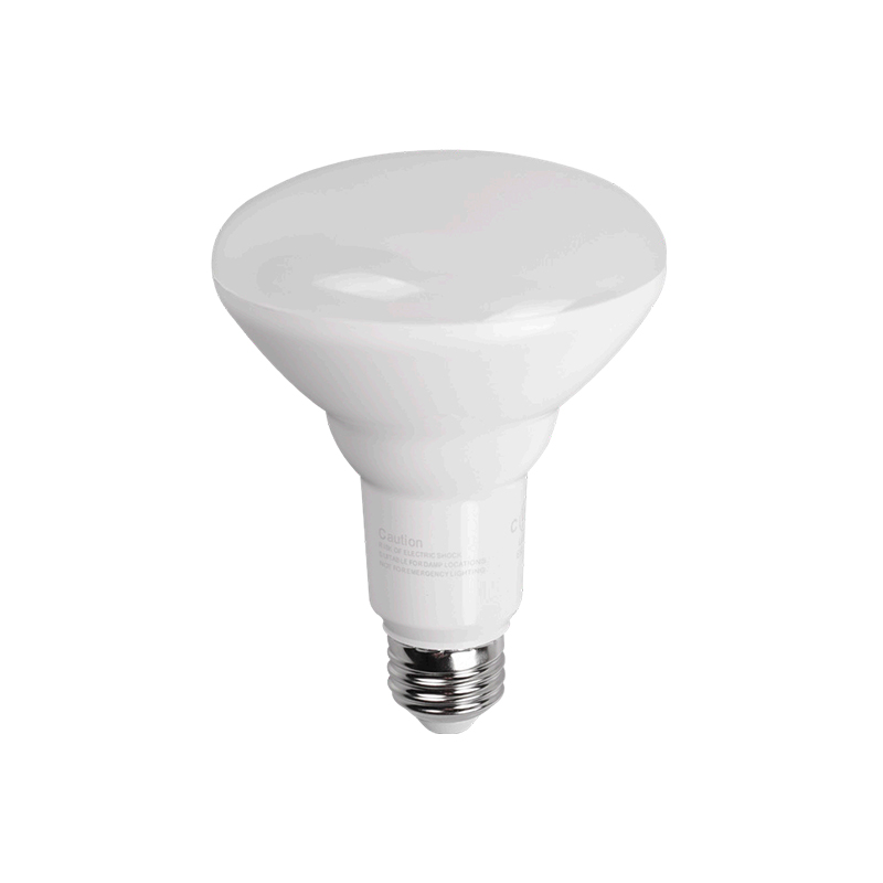 หลอดไฟ LED BR30 และ PAR38