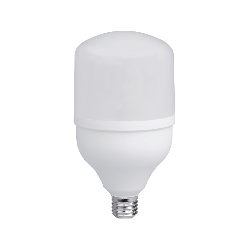 T Series LED LED SMD BULBS