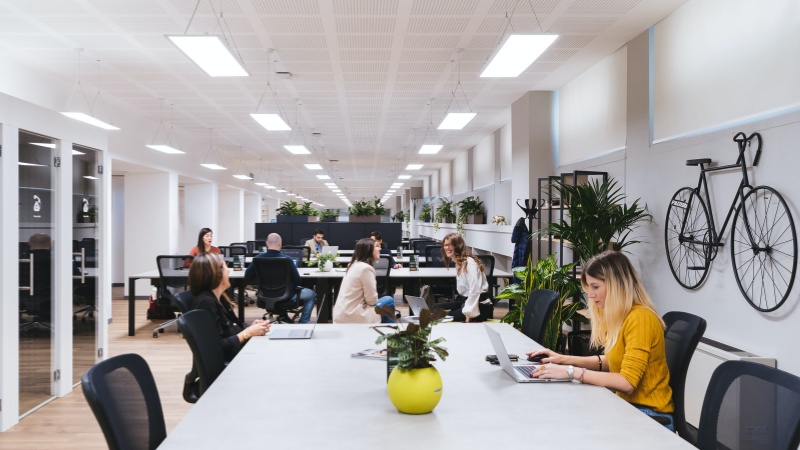 Commercial office ceiling with LED panel lights integrated with dimming and occupancy control systems